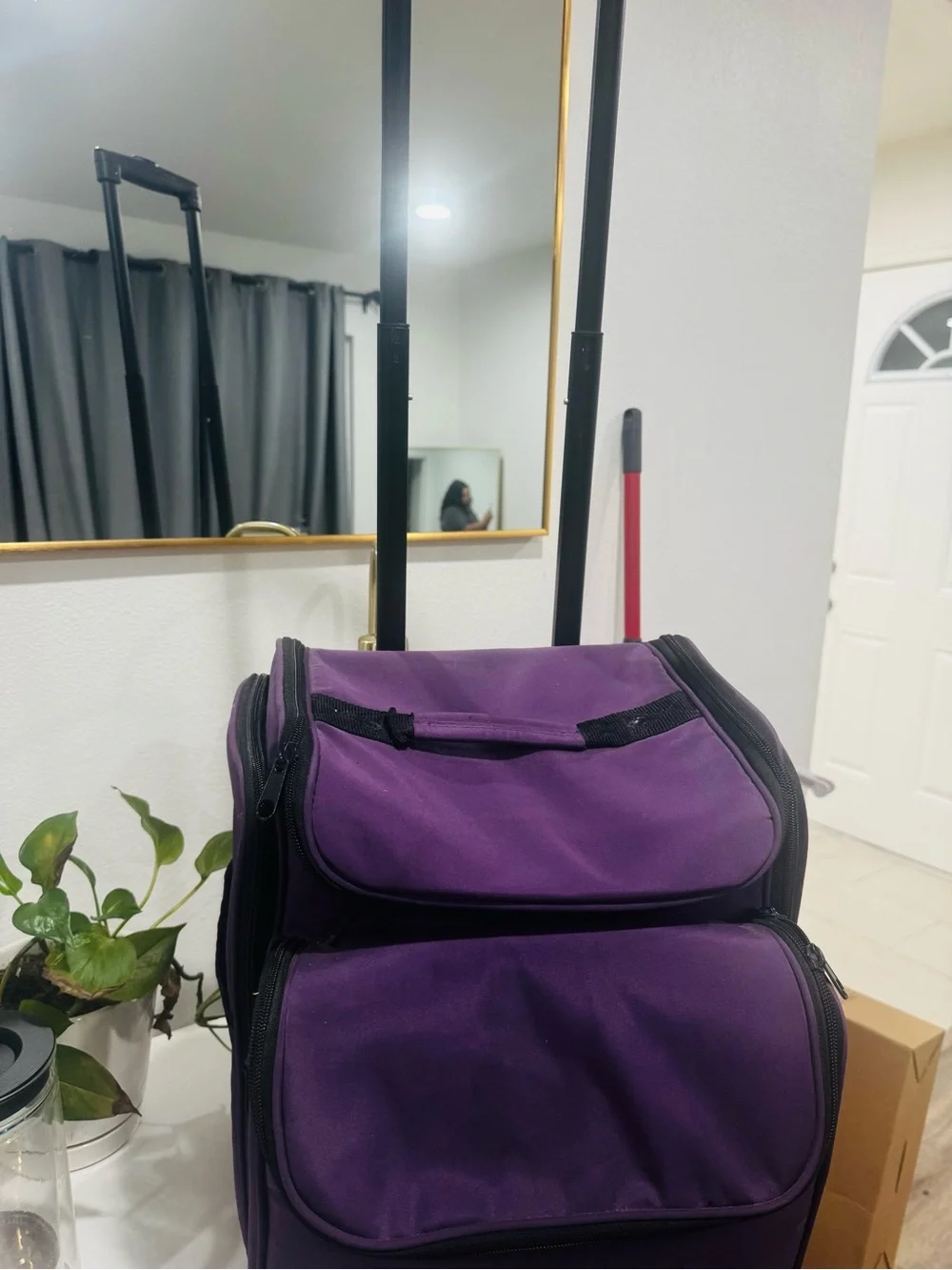 Purple  Travel Carry Bag - Stylish Utility Tote